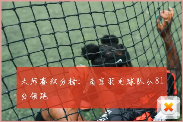 大师赛积分榜：南京羽毛球队以81分领跑