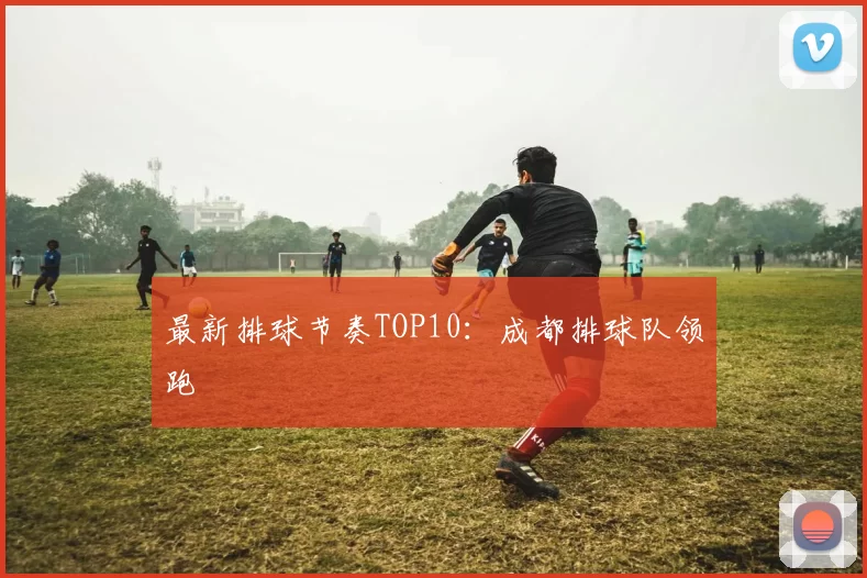 最新排球节奏TOP10：成都排球队领跑