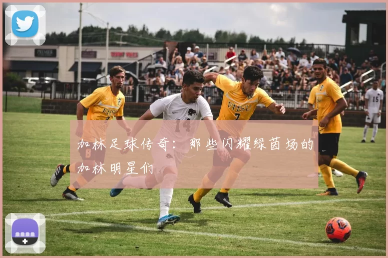 加林足球传奇：那些闪耀绿茵场的加林明星们