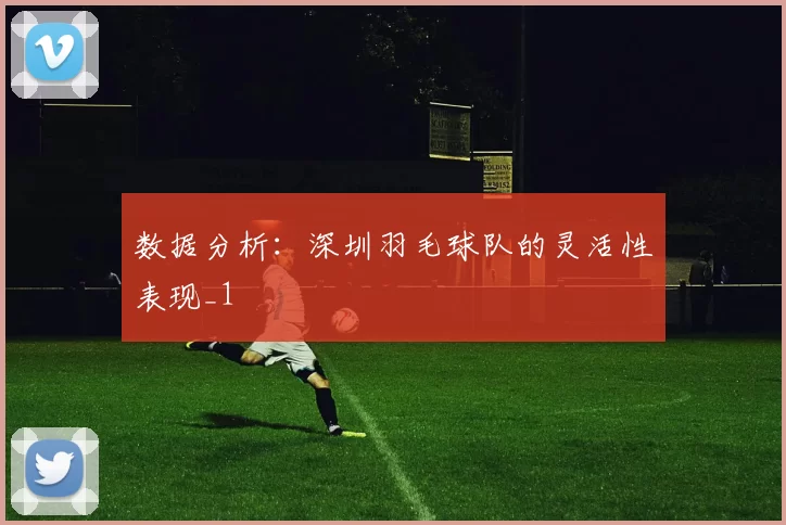 数据分析：深圳羽毛球队的灵活性表现_1