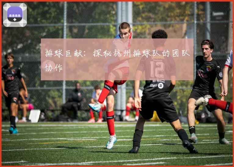排球巨献：探秘杭州排球队的团队协作